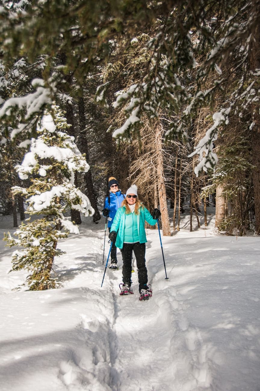 Schneeschuhwanderung durch die Winterwälder © shutterstock.com