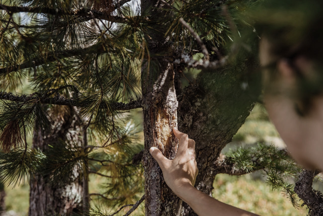 Natur spüren © SalzburgerLand Tourismus / Tom Son