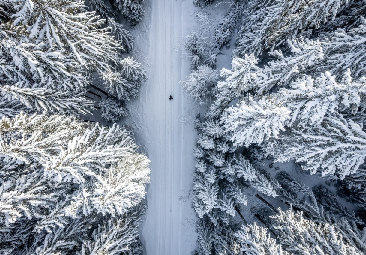 Verschneiter Wald in Großarl im Winter, Luftaufnahme © TVB Großarltal/Gipfelfieber