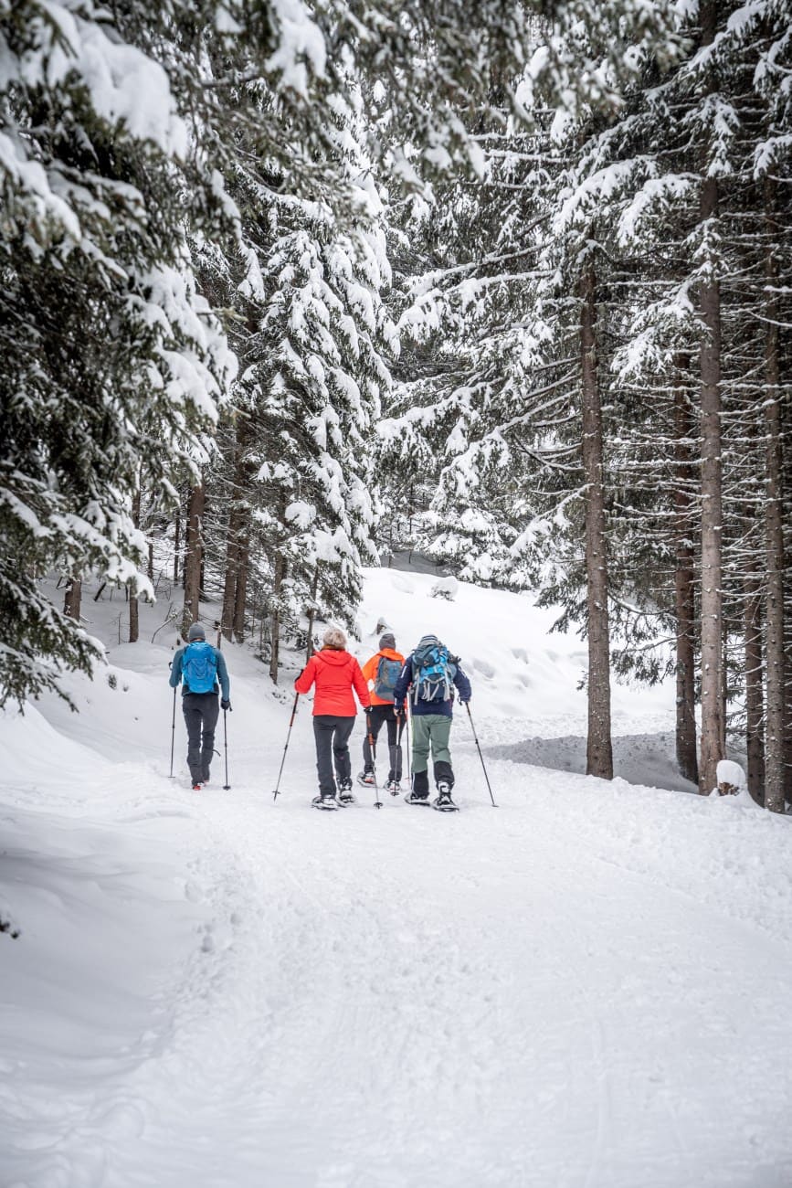 Schneeschuhwandern in Großarl