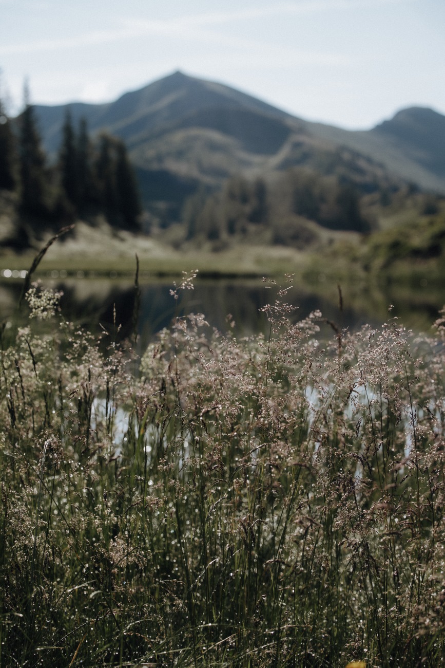 Wandern am Berg in Großarl