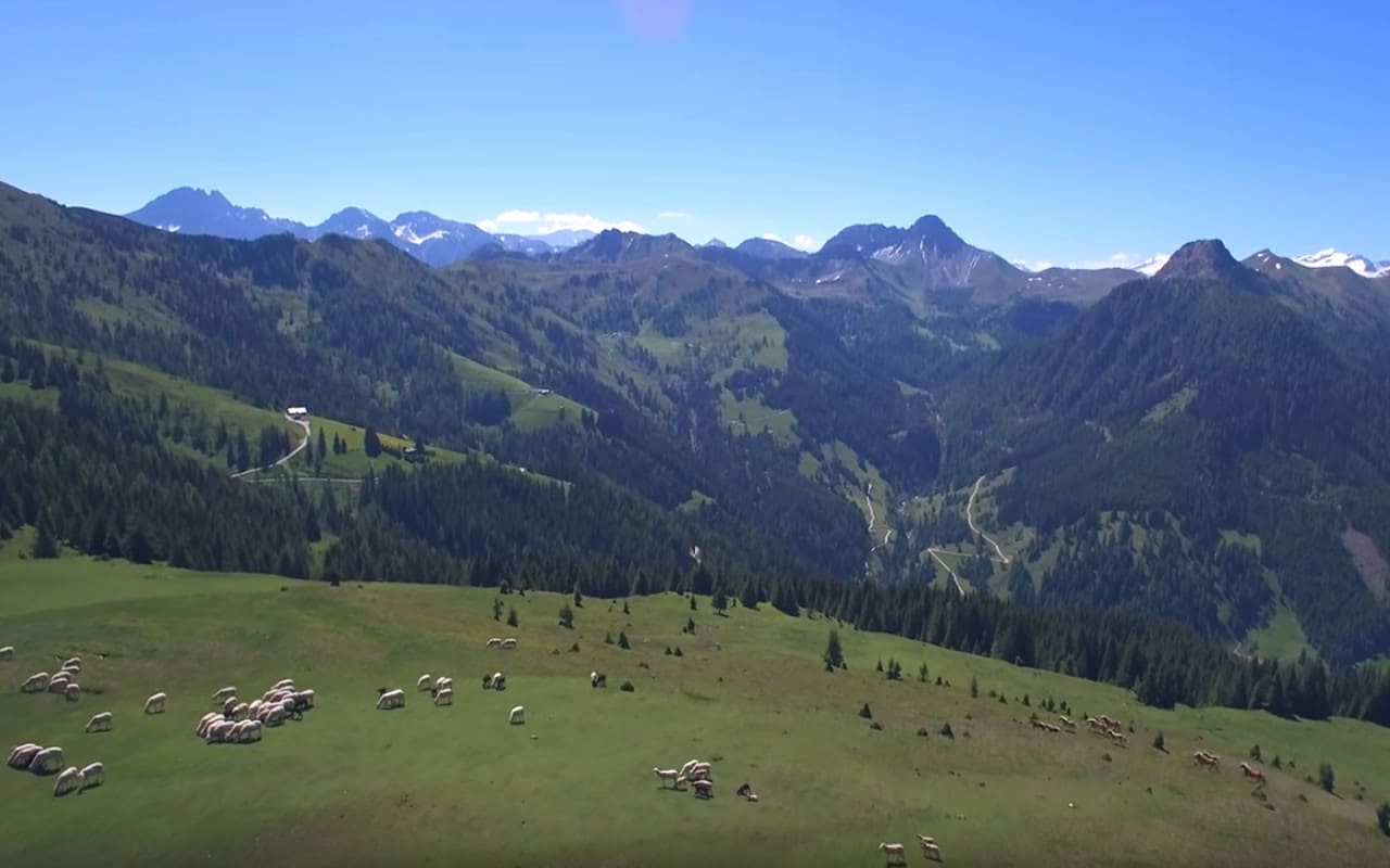 Video - Wandern in Großarl