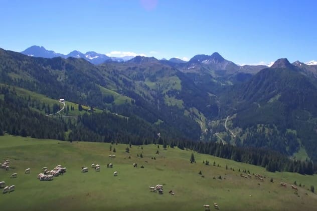 Wandern in Großarl