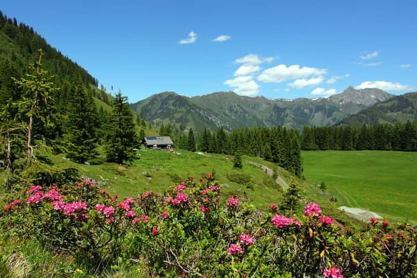 Filzmooshoerndl 2.189m
