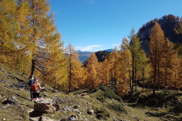 Herbstfärbung Herbstfärbung