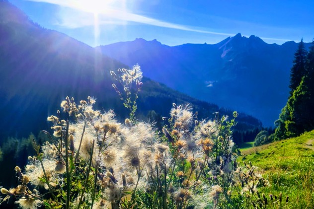 Sonnenuntergang Richtung Breitenebenalm Sonnenuntergang Richtung Breitenebenalm