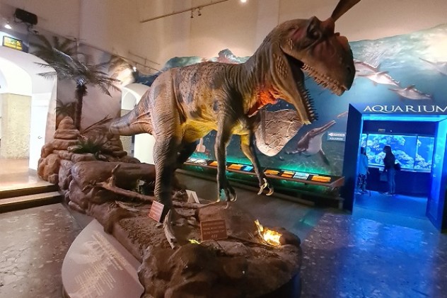 Haus der Natur Haus der Natur